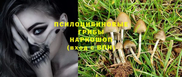 мдпв Лабытнанги