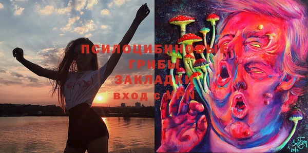 мдпв Лабытнанги