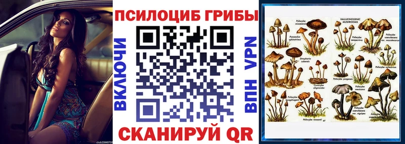 Псилоцибиновые грибы ЛСД  хочу   Фёдоровский 